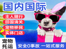 北京密云穆家峪航空快运国际宠物托运 【国